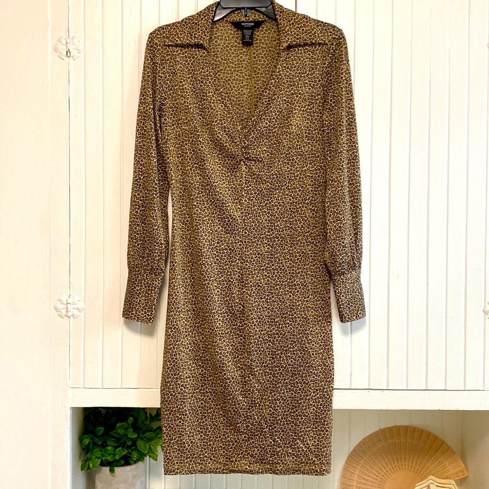 Express Vintage Stretch Dress - 5/6 (small)